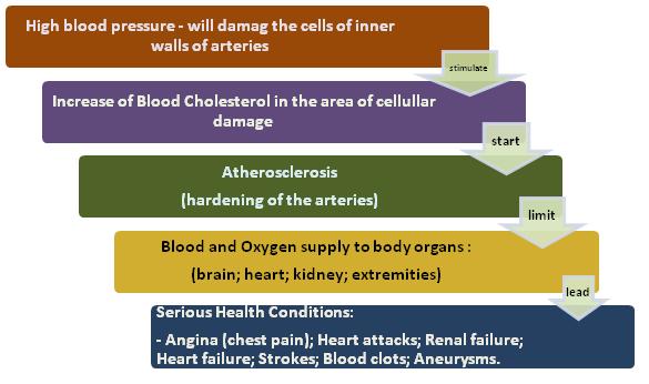 High Cholesterol consequences in our body